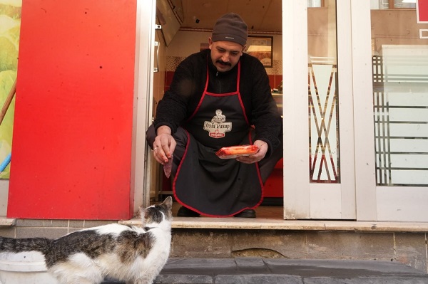 Foto - Kendi yemedi yavrularını düşündü! O kedi bakın nasıl ödülünü aldı