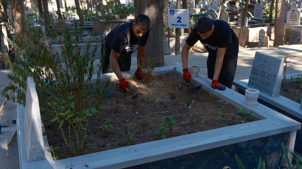 Foto - Kendileri bile bu kadar ilgi beklemiyordu! Bunlar da mezarlık fenomenleri