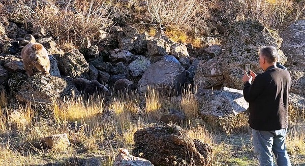 Foto - Kendilerini bile bile tehlikeye attılar! Bakın ayıları nasıl beslediler