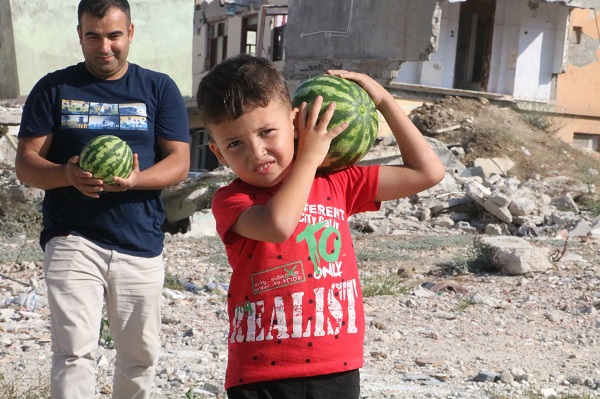Foto - Kendiliğinden yetişti! Enkazda hasat vakti