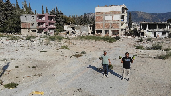 Foto - Kendiliğinden yetişti! Enkazda hasat vakti