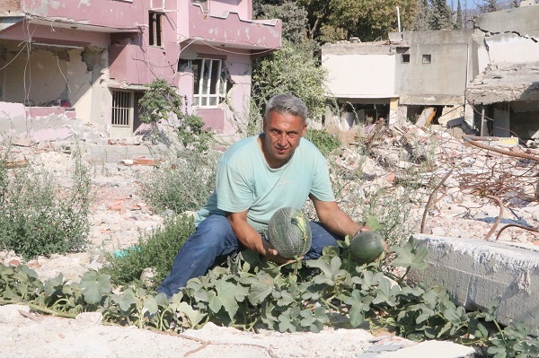 Foto - Kendiliğinden yetişti! Enkazda hasat vakti