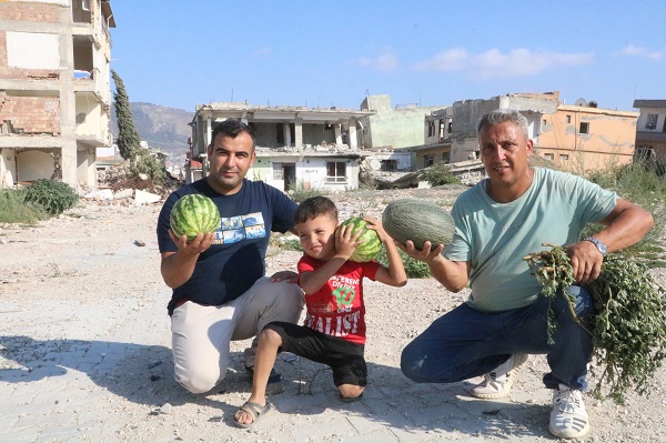 Foto - Kendiliğinden yetişti! Enkazda hasat vakti