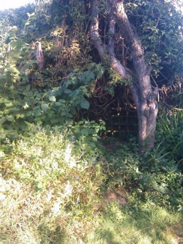  Kendine hobbit deliği yaptı!