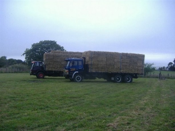 Kendine samandan ev yaptı!