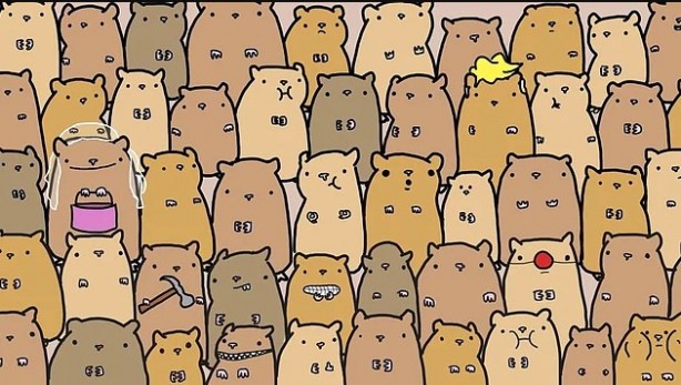 Foto - Kendinize güveniyor musunuz? Bu testleri çözmek 'dikkat' ister! 