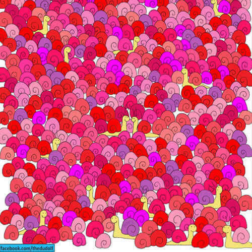 Foto - Kendinize güveniyor musunuz? Bu testleri çözmek 'dikkat' ister! 