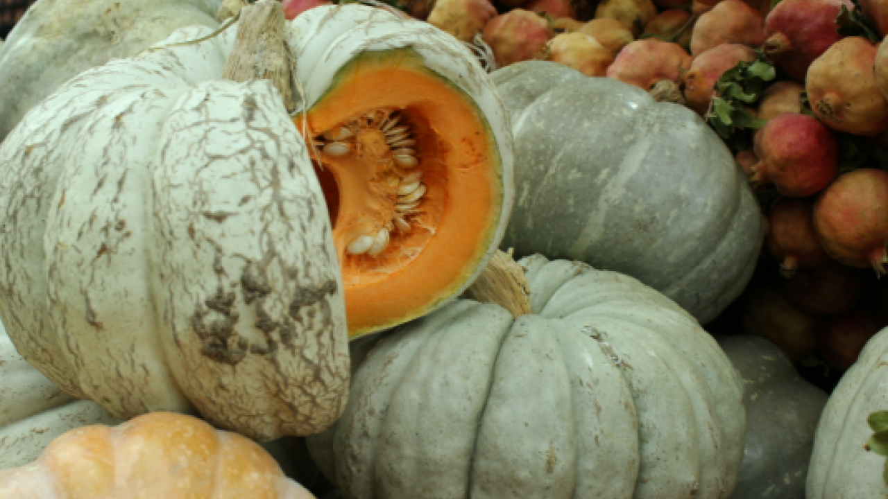Kendisi ayrı, çekirdeği ayrı şifa! Faydasını duyan hemen almaya gidiyor