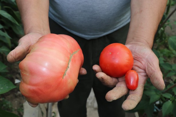 Kendisi bile tahmin etmemişti! Ki̇mseni̇n yapmadığını yaptı ama sonuç müthi̇ş!