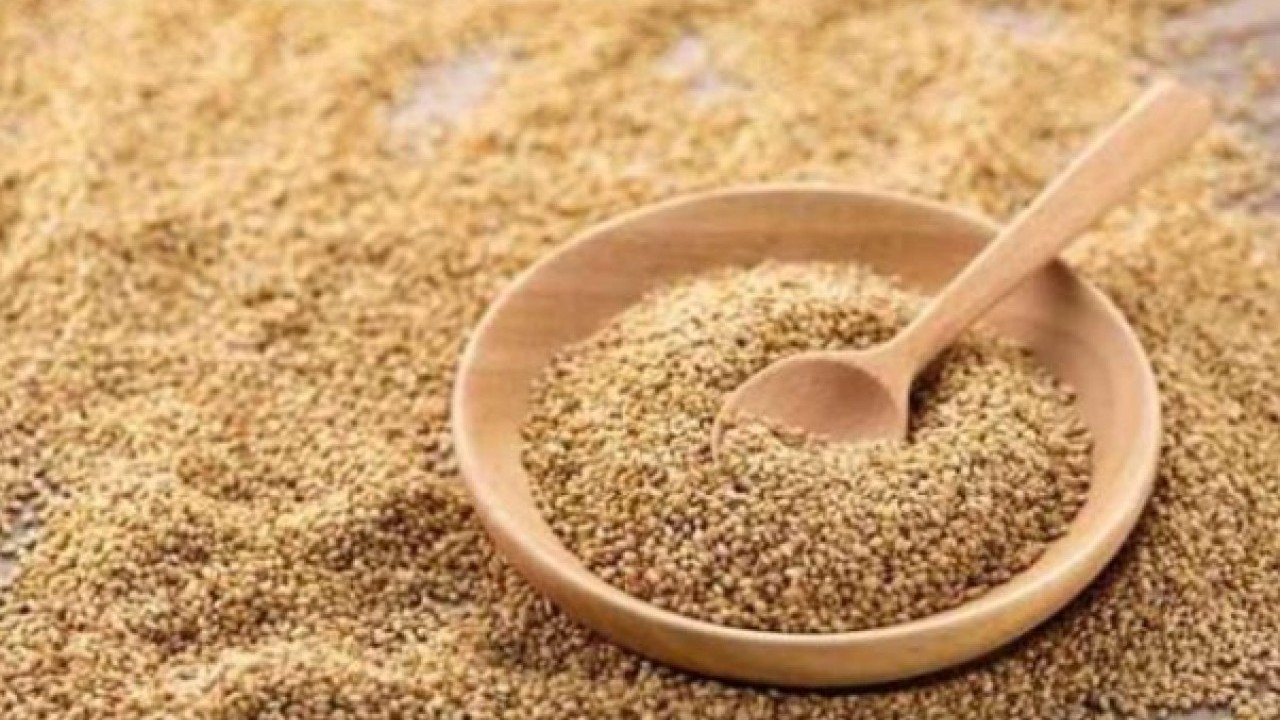 Foto - Kendisi küçük yararı büyük! Susamın sağlığa faydaları açıkalndı