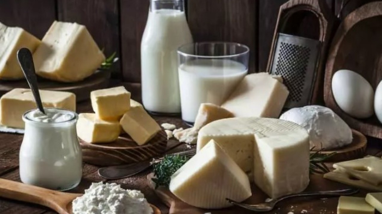 Foto - Kene ısırığıyla bulaşıyor: Ömür boyu et yemenizi engelleyebilir!