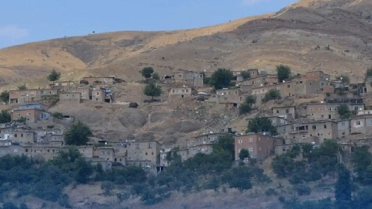 Foto - Kenelerden sonra akrep istilası başladı! İp takıp gezdiren bile var
