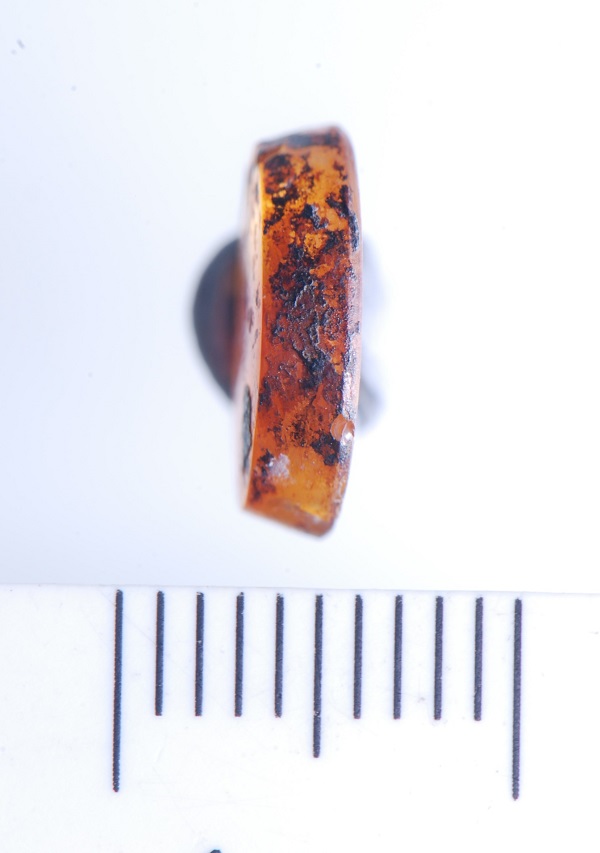 Foto - Kentin ileri gelenlerinden birine ait! 1700 yıllık yüzük ihtişamıyla şaşırttı