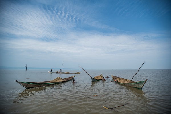 Foto - Kenya’da ekmek parası için bu mücadeleyi veriyorlar