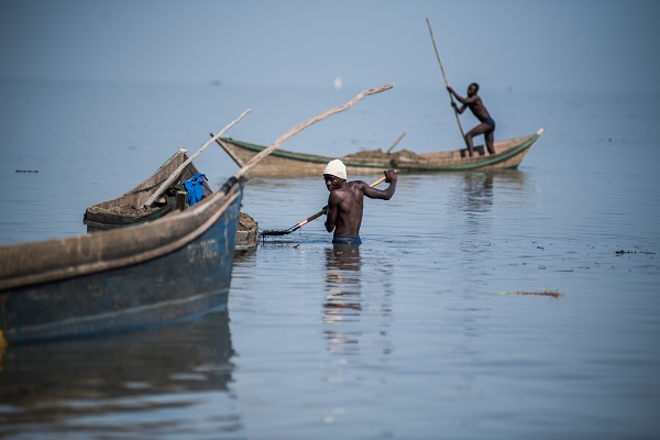 Foto - Kenya’da ekmek parası için bu mücadeleyi veriyorlar