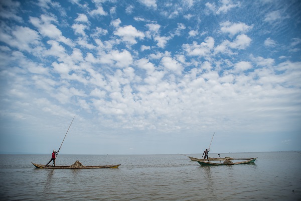 Foto - Kenya’da ekmek parası için bu mücadeleyi veriyorlar
