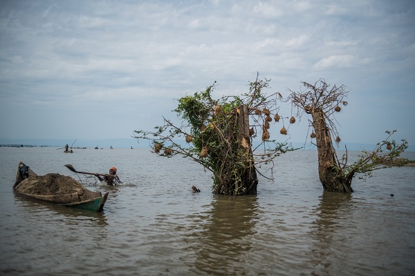 Foto - Kenya’da ekmek parası için bu mücadeleyi veriyorlar