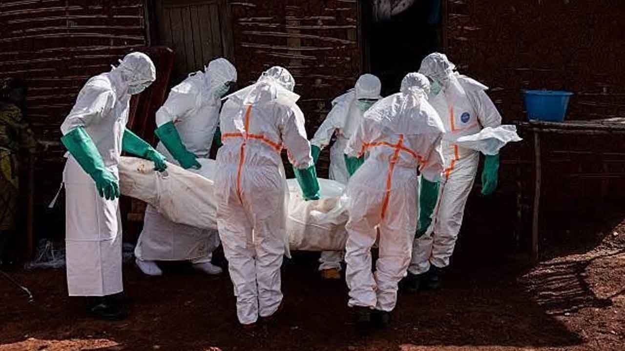 Kenya'da ilk ebola ölümü: Salgın kapıda mı?