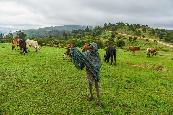 Foto - Kenya'da kabilelerin günlük hayatı