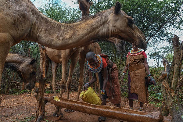 Foto - Kenya'da kabilelerin günlük hayatı