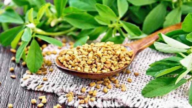 Foto - Kepek, saç dökülmesi, kaşıntı... Saç problemlerini ortadan kaldıracak 6 bitki