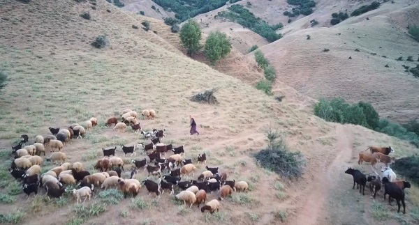 Foto - Kerem Dede yayladan vazgeçmiyor