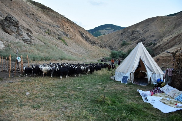 Foto - Kerem Dede yayladan vazgeçmiyor