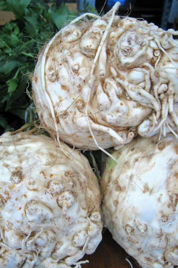 Foto - Kereviz kanseri önlüyor!