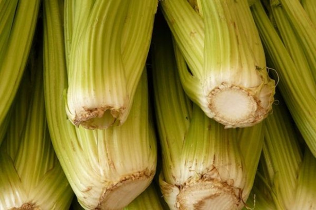 Foto - Kereviz kanseri önlüyor!