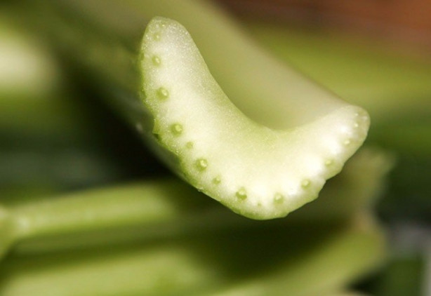 Foto - Kereviz kanseri önlüyor!