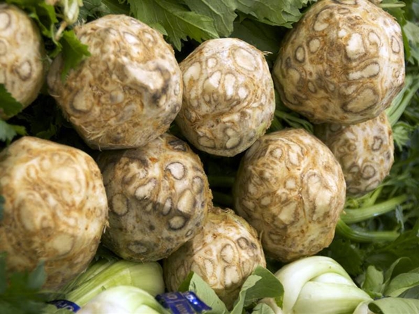 Foto - Kereviz sivilceleri azaltıyor