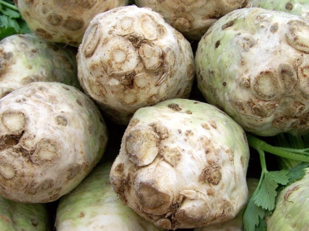 Foto - Kerevizin insan sağlığına 5 önemli faydası