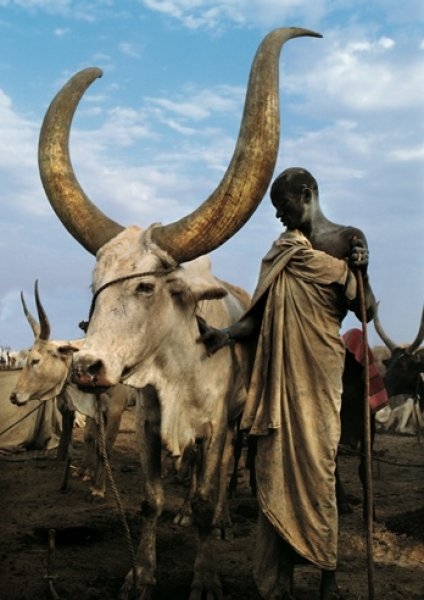 Foto - Keşfedilmemiş bir halk: Dinkalar