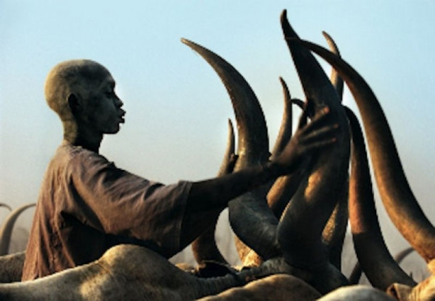 Foto - Keşfedilmemiş bir halk: Dinkalar