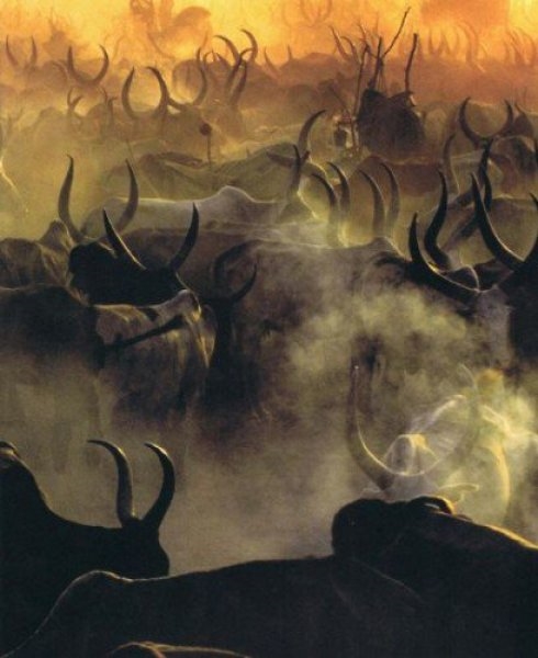 Foto - Keşfedilmemiş bir halk: Dinkalar