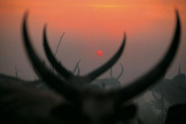 Foto - Keşfedilmemiş bir halk: Dinkalar