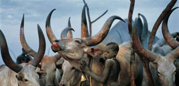 Foto - Keşfedilmemiş bir halk: Dinkalar