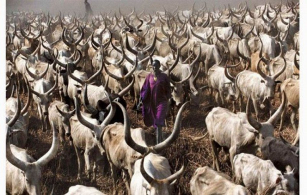 Foto - Keşfedilmemiş bir halk: Dinkalar