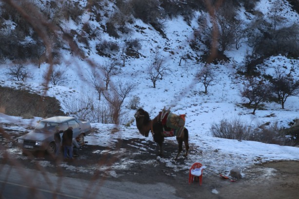 Foto - Güzel şehir! Nevşehir!