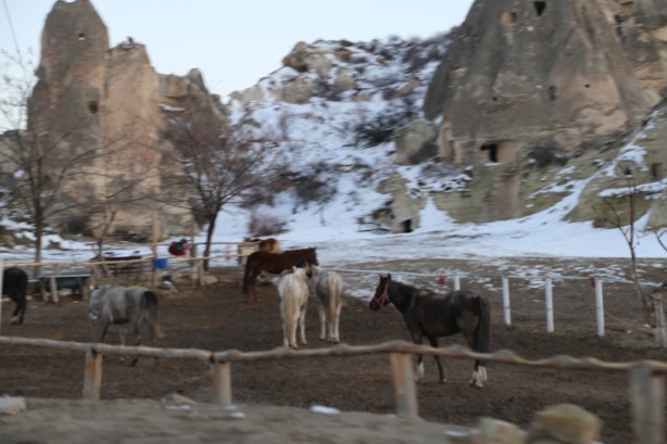 Foto - Güzel şehir! Nevşehir!