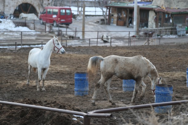 Foto - Güzel şehir! Nevşehir!