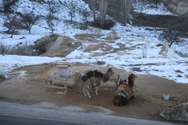 Foto - Güzel şehir! Nevşehir!
