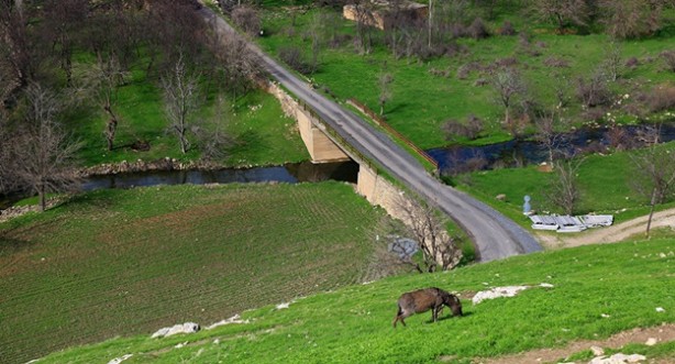 Keşfedilmeyi bekleyen tarih: Hisarkaya