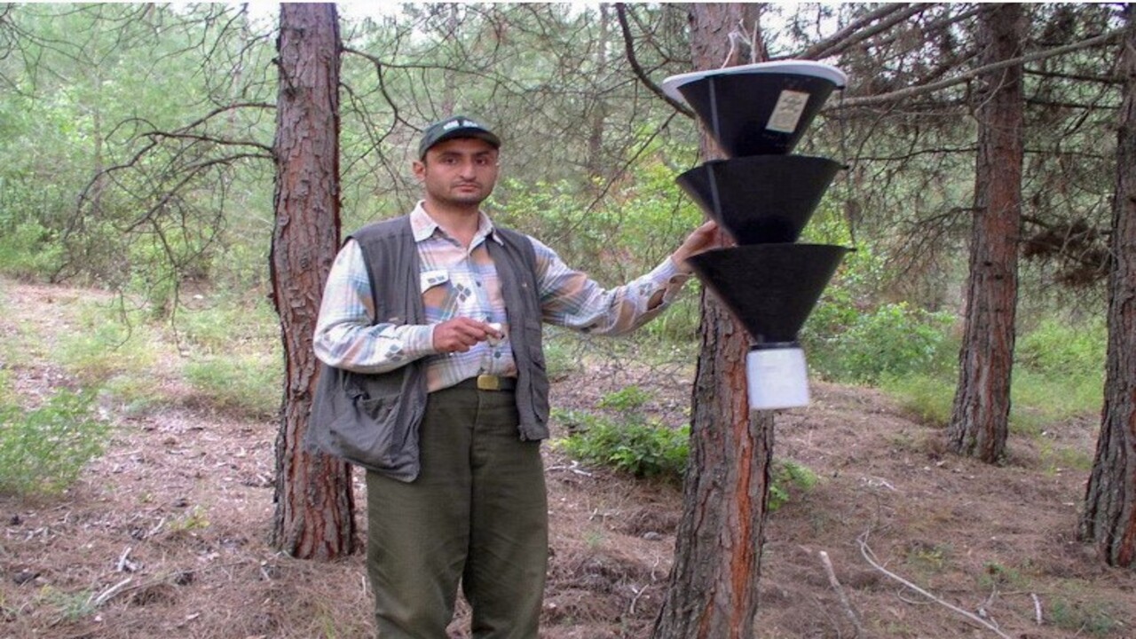 Foto - Keşfettiği böcek türüne bakın kimin ismini verdi