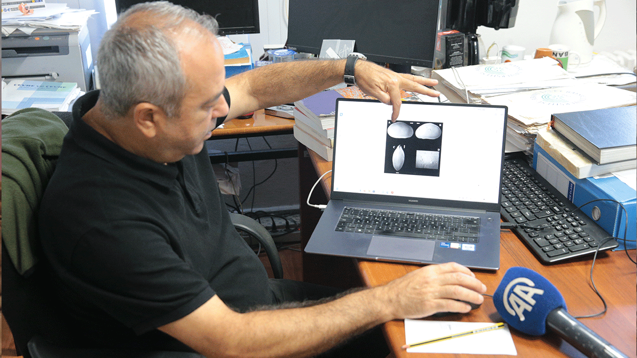 Foto - Keşfettiği canlı türüne "Rauf Denktaş" ismini verdi