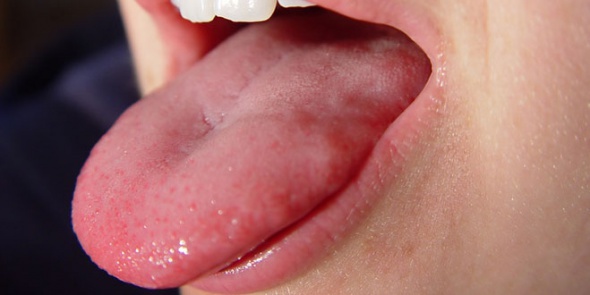 Foto - Kesinlikle doğru diyorsunuz ama yanlış 