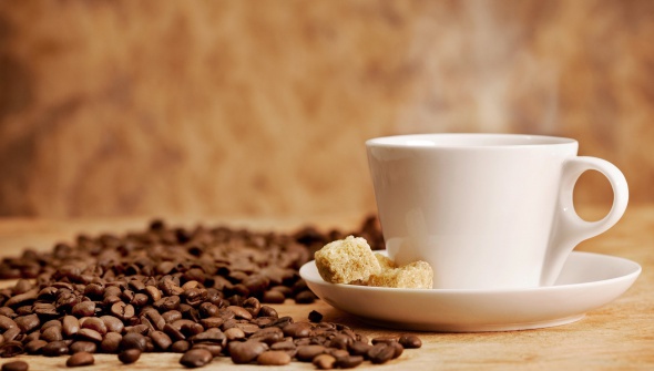 Foto - Kesinlikle doğru diyorsunuz ama yanlış 