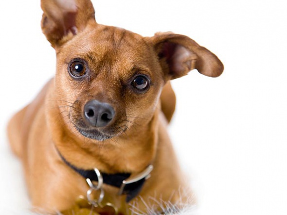 Foto - Kesinlikle doğru diyorsunuz ama yanlış 