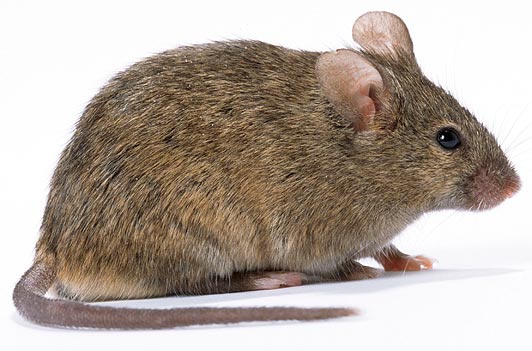 Foto - Kesinlikle doğru diyorsunuz ama yanlış 