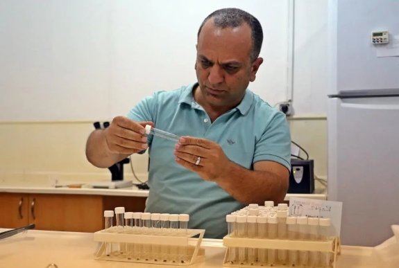 Foto - Kesinlikle dokunmayın! Vücudu uyuşturarak 1 defada 10 bin yumurta bırakabiliyor